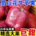 【爆甜】甘肃天水花牛苹果当季整箱应黑卡蛇果孕妇冰糖心新鲜