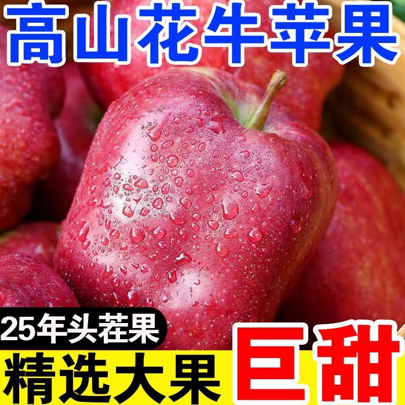 【爆甜】甘肃天水花牛苹果当季整箱应黑卡蛇果孕妇冰糖心新鲜