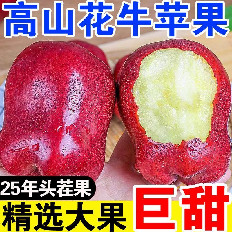 【爆甜】甘肃天水花牛苹果当季整箱应黑卡蛇果孕妇冰糖心新鲜