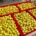 精品大荔冬枣，品质保证，产地直发，支持现场看货，欢迎来电