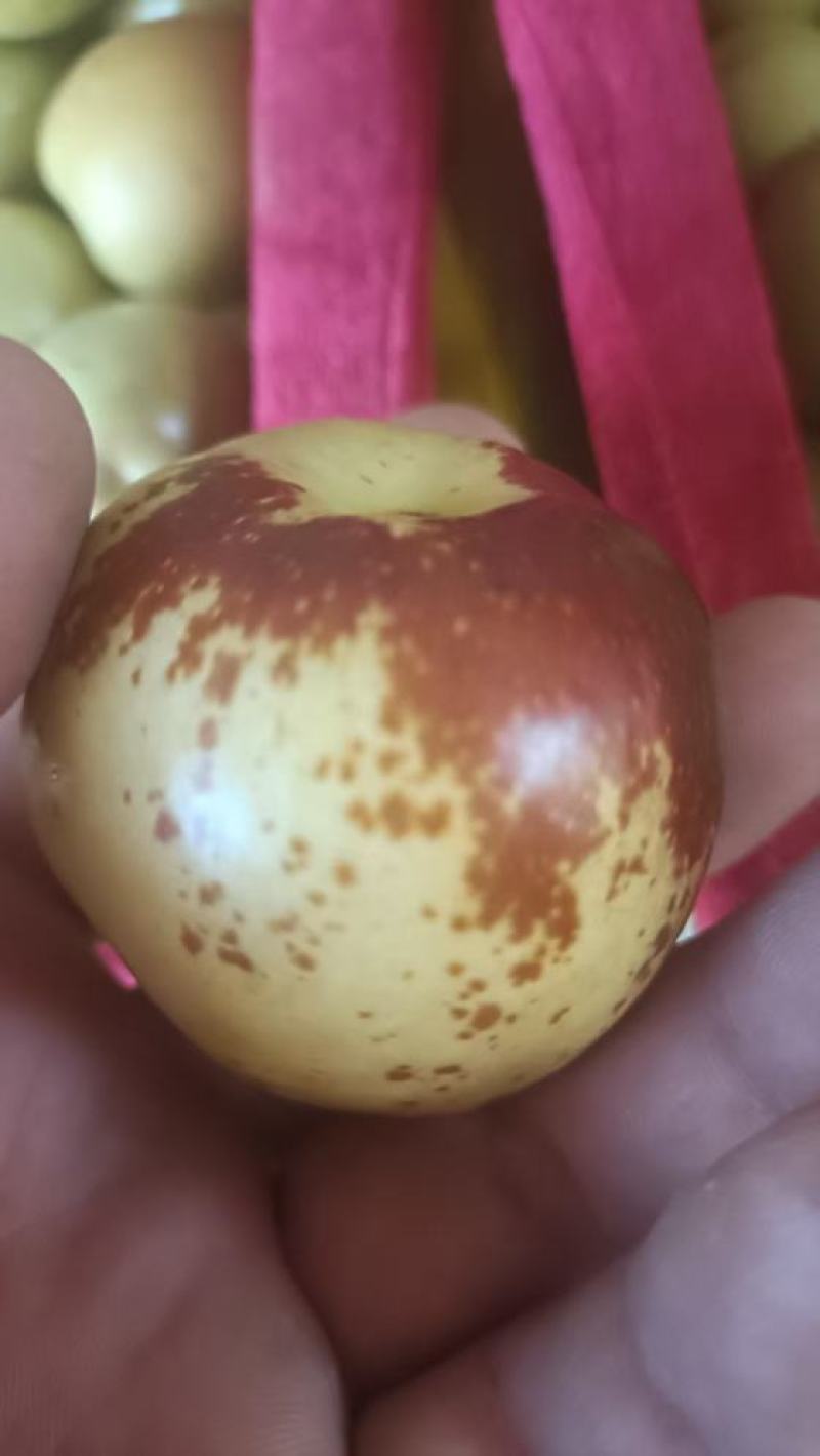 精品大荔冬枣，品质保证，产地直发，支持现场看货，欢迎来电