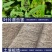 复合微生物菌剂菌肥枯草芽孢杆菌生根肥生物肥料