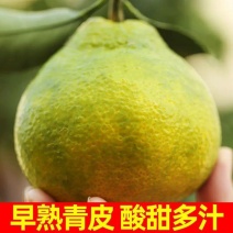不知火丑橘新鲜丑八怪丑桔橘子包邮新鲜孕妇水果整箱批发耙耙