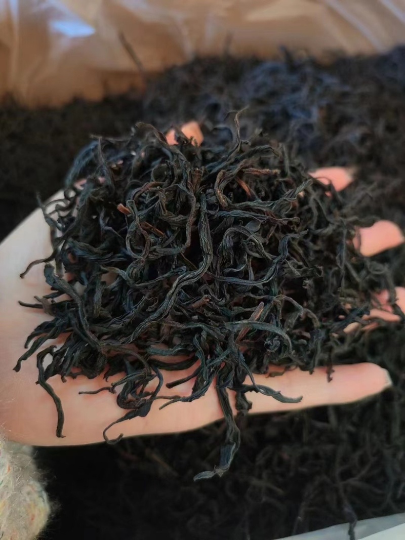 野生古树茶红、中国红厂家直销，一手货源，全国发