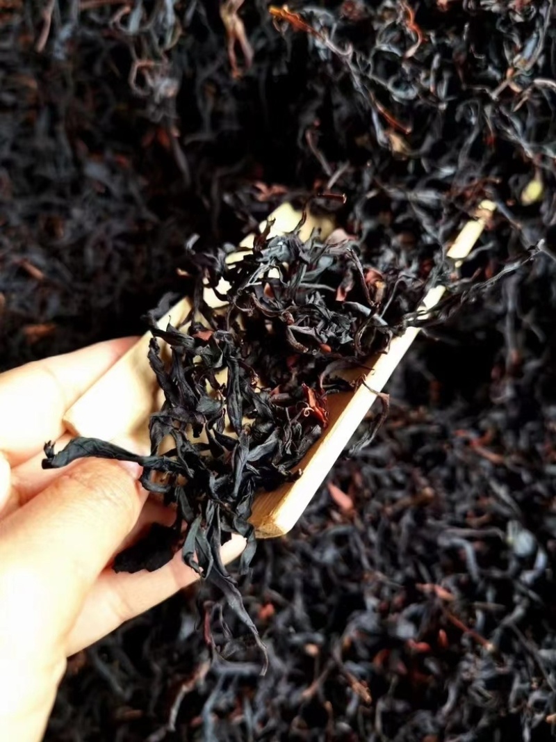 野生古树茶红、中国红厂家直销，一手货源，全国发