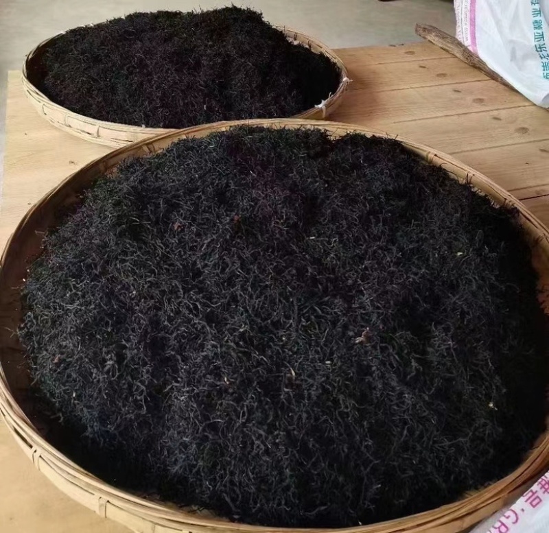 野生古树茶红、中国红厂家直销，一手货源，全国发