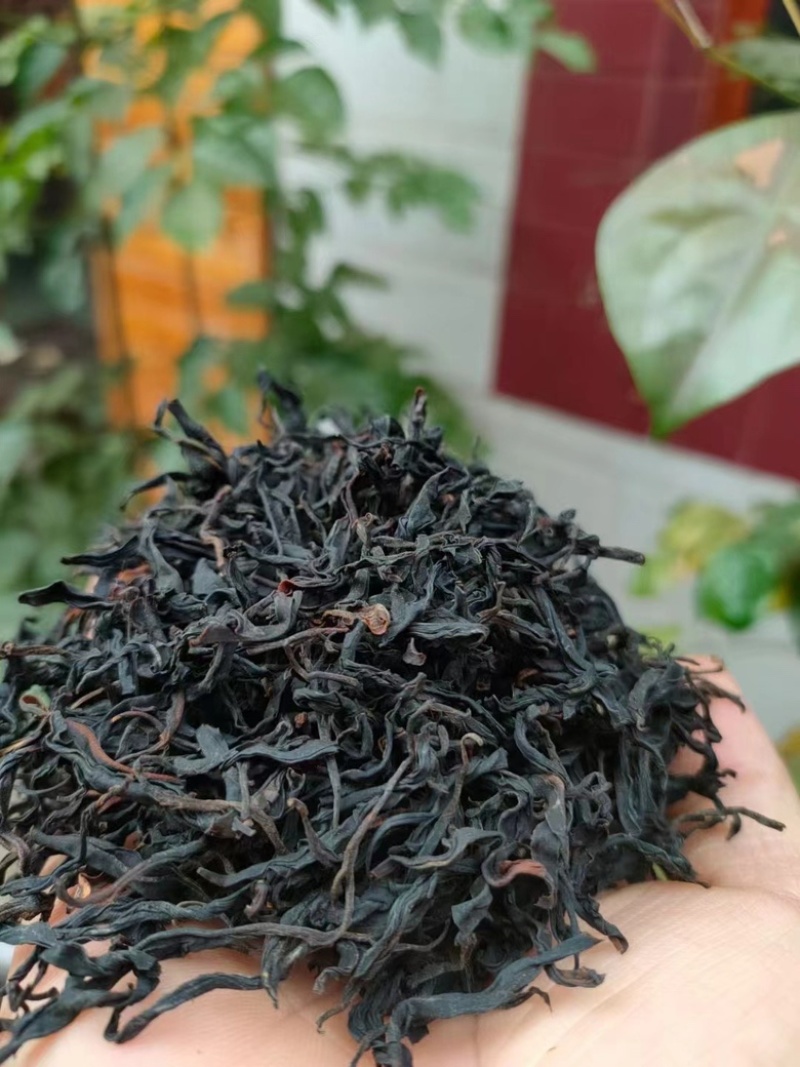 野生古树茶红、中国红厂家直销，一手货源，全国发
