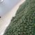 攀枝花凯特芒火热进行中