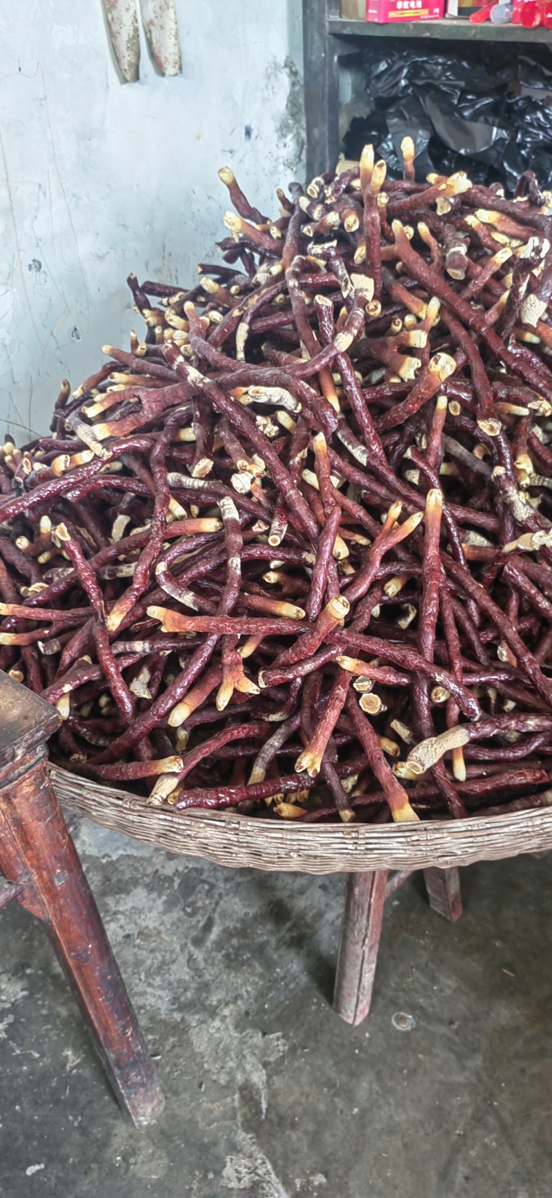 贵州中药菌藻类/鹿茸灵芝/规格齐全/量大价优/欢迎咨询