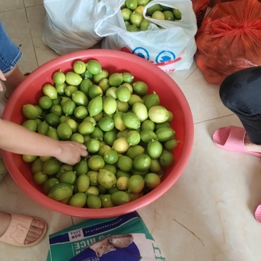 香水柠檬