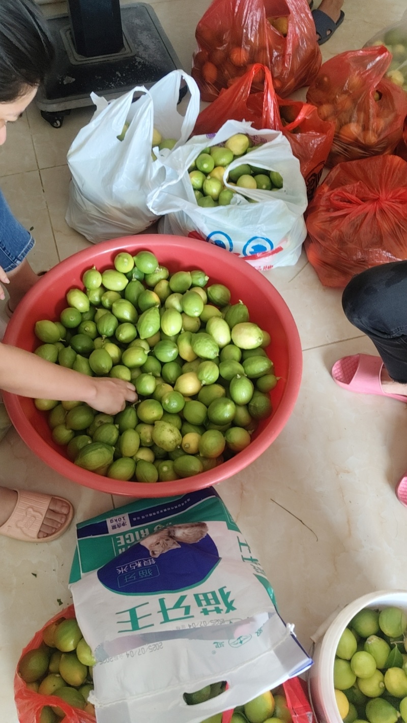 香水柠檬