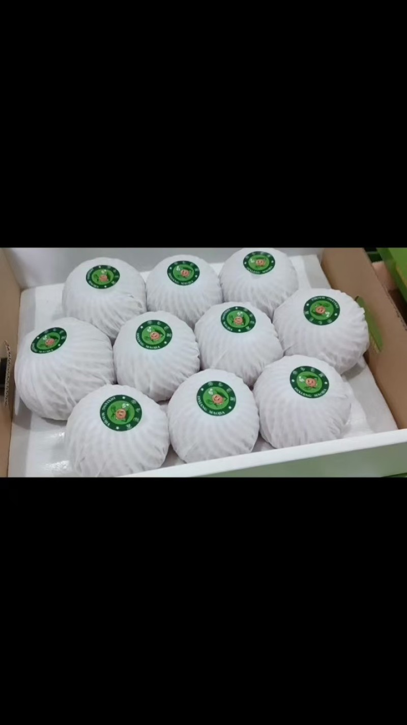 南阳精品秋月梨精品包装大小均匀清脆可口水分多