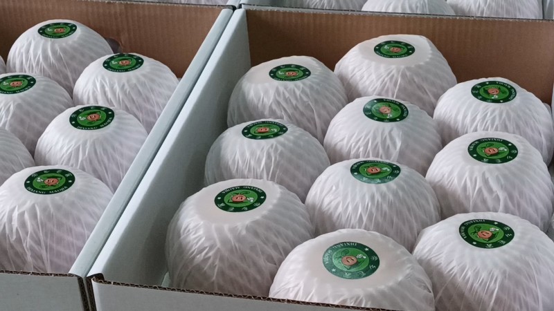 南阳精品秋月梨精品包装大小均匀清脆可口水分多