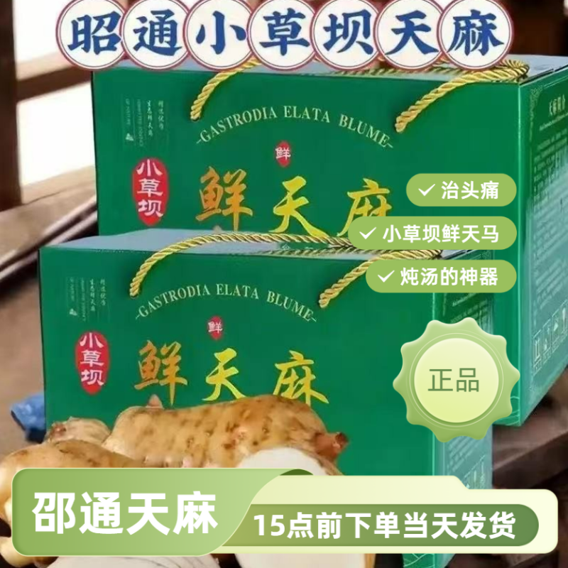 邵通新鲜天麻京东物流速发云南小草坝天麻现挖现发高天鲜天麻