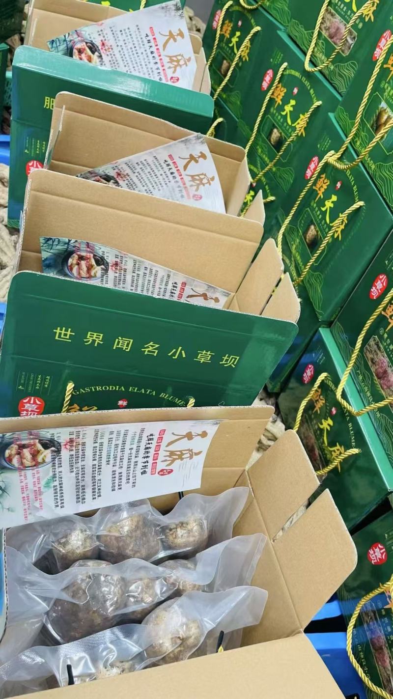 邵通新鲜天麻京东物流速发云南小草坝天麻现挖现发高天鲜天麻