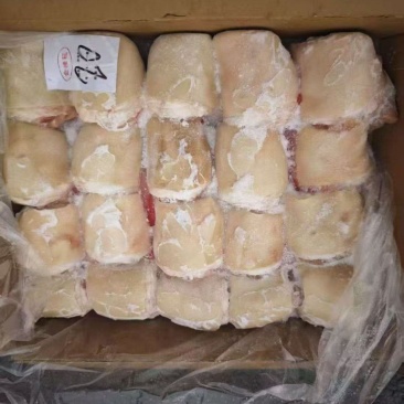 网红小肘子