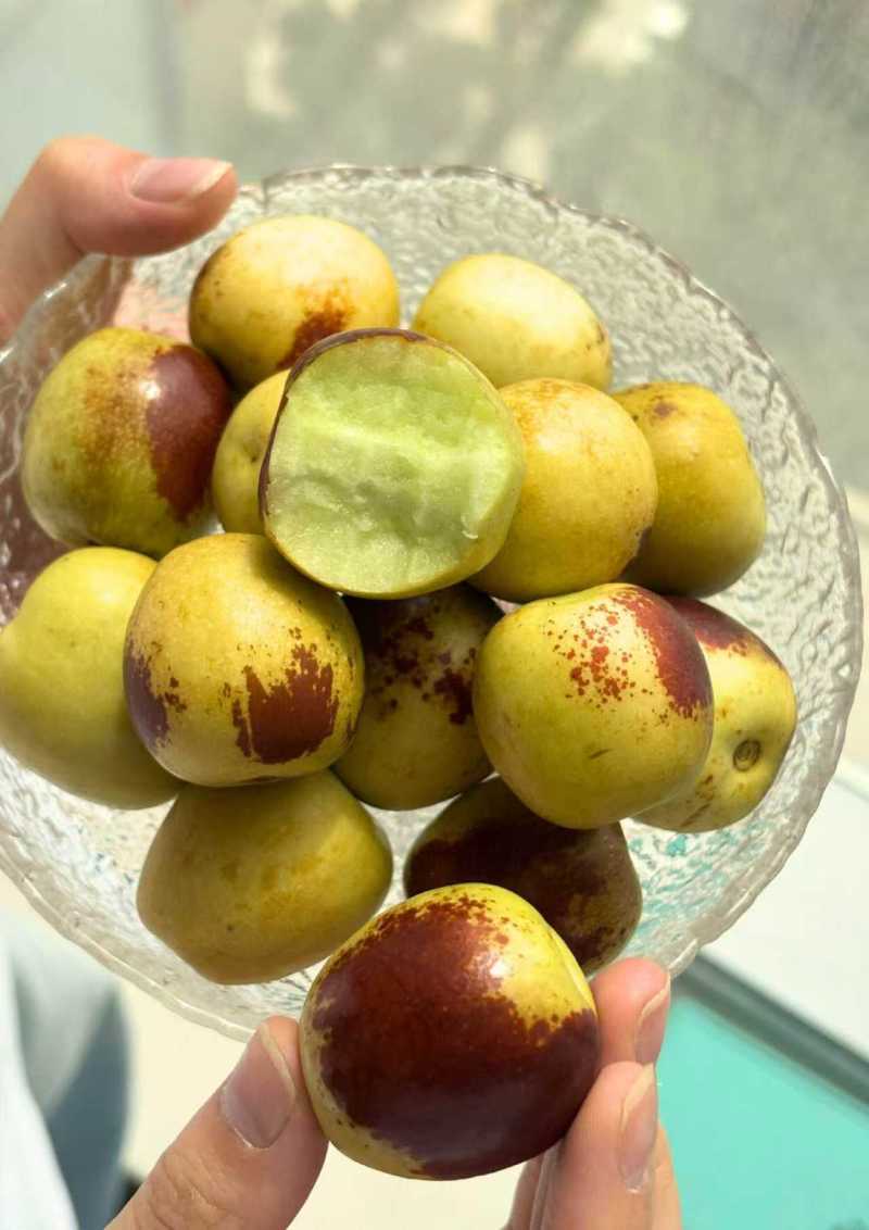 新疆库尔勒牛奶冬枣