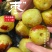 新疆库尔勒牛奶冬枣