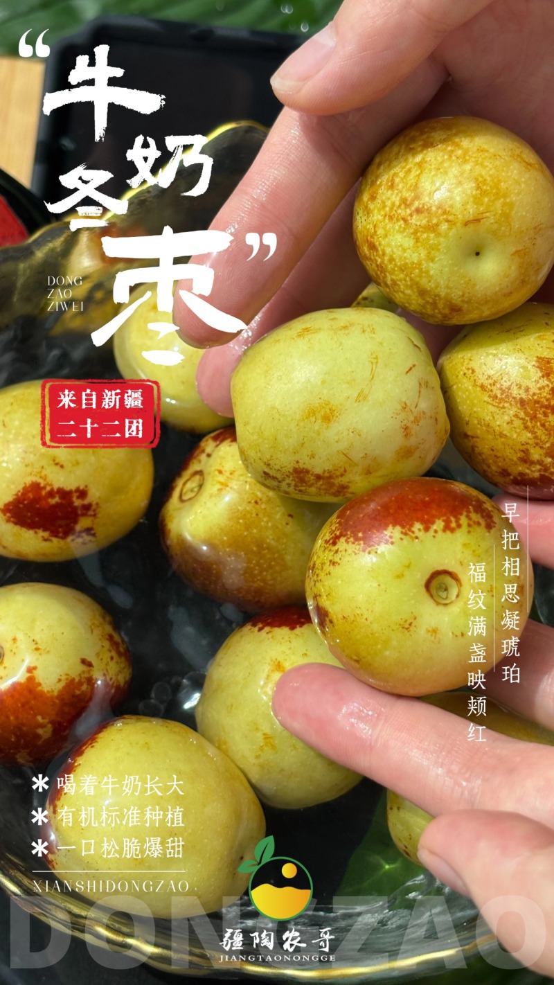 新疆库尔勒牛奶冬枣