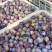 红脆李子，安格诺，大量供应，代办代发，对接电商批发市场