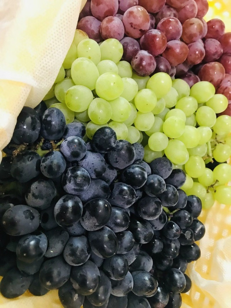 新疆吐鲁番三色葡萄