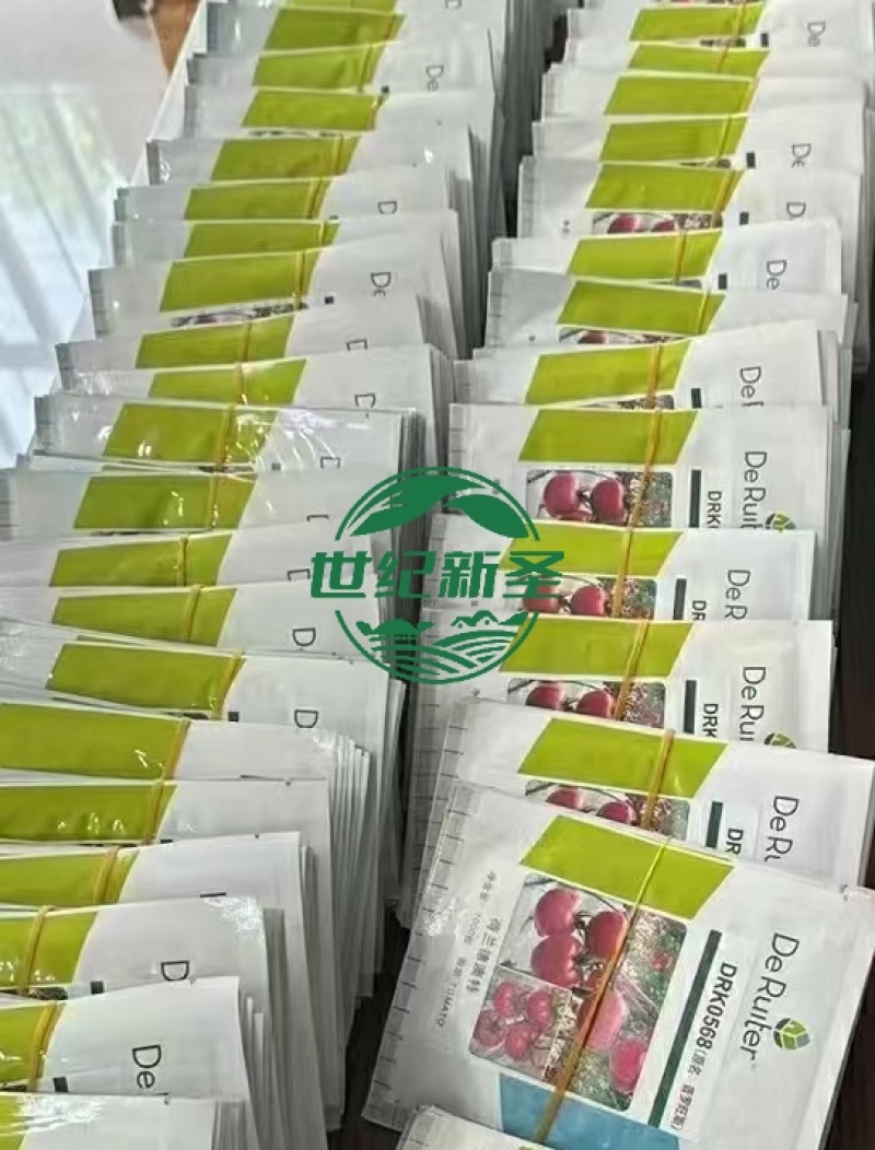 口感西红柿番茄种子普罗旺斯原包装基地寿光蔬菜种苗产地直发