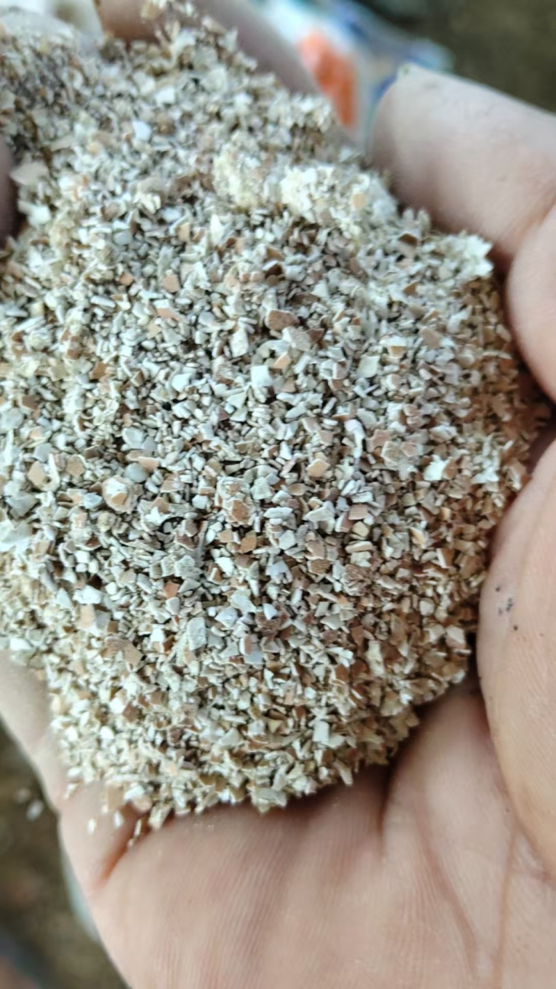 【推荐】鸡蛋壳/量大优惠/视频看货/欢迎咨询