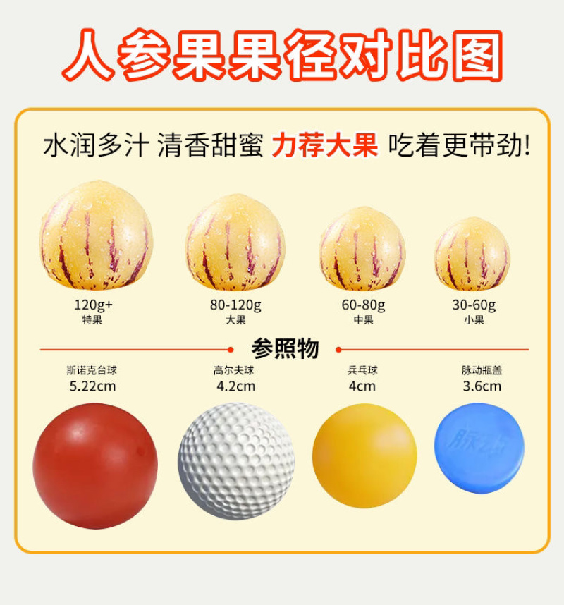 人参果接电商一件代发云南石林人参果树熟低糖水果