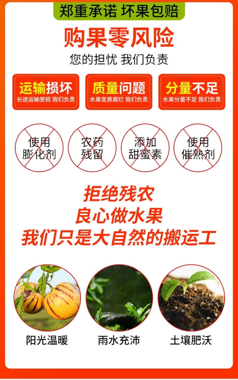 人参果接电商一件代发云南石林人参果树熟低糖水果