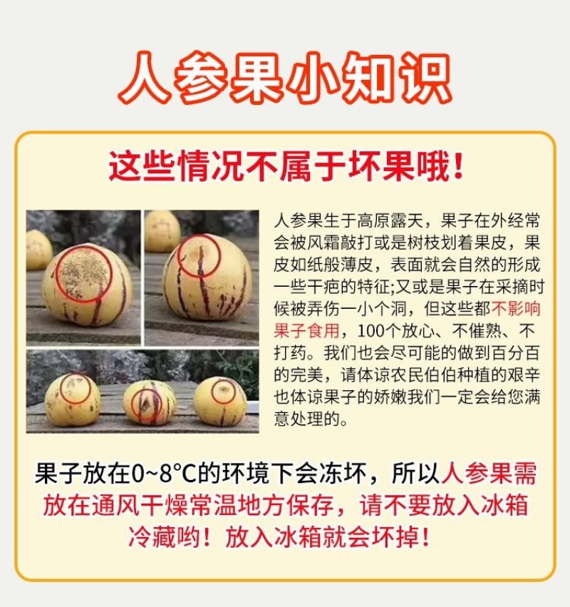人参果接电商一件代发云南石林人参果树熟低糖水果