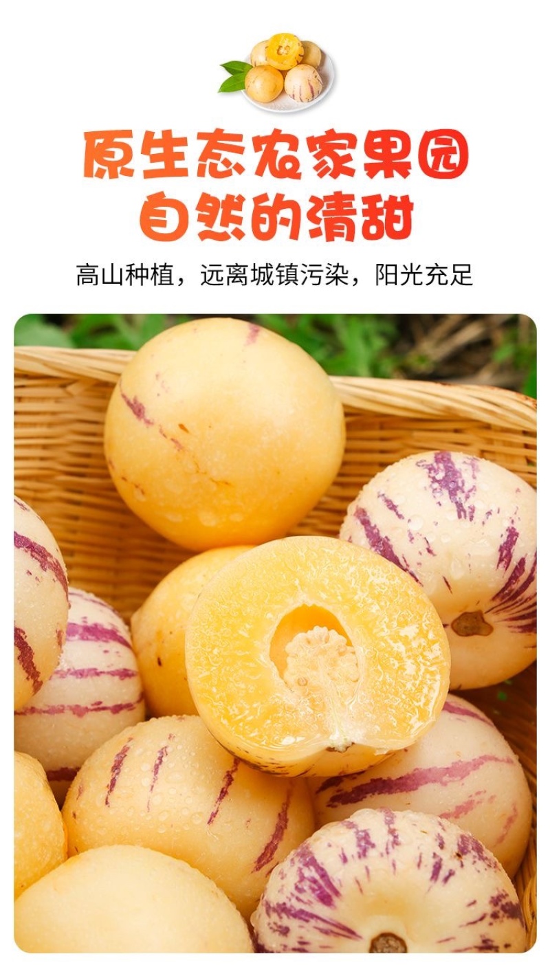 人参果接电商一件代发云南石林人参果树熟低糖水果
