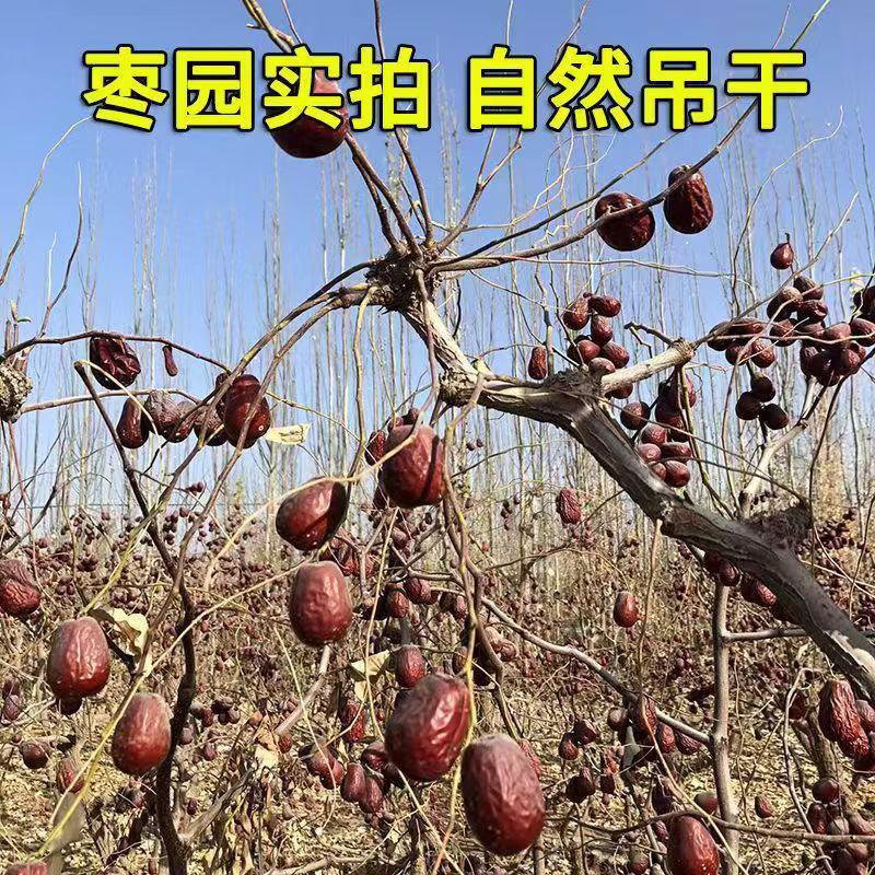 「推荐」新疆和田大枣不掉皮颜色好价格美丽一件代发欢迎采购