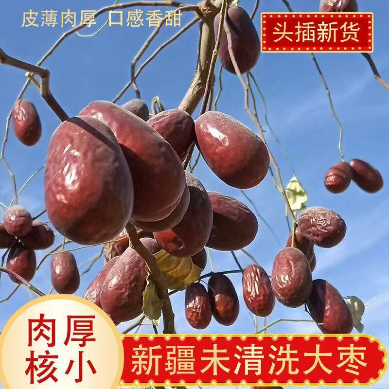 「推荐」新疆和田大枣不掉皮颜色好价格美丽一件代发欢迎采购
