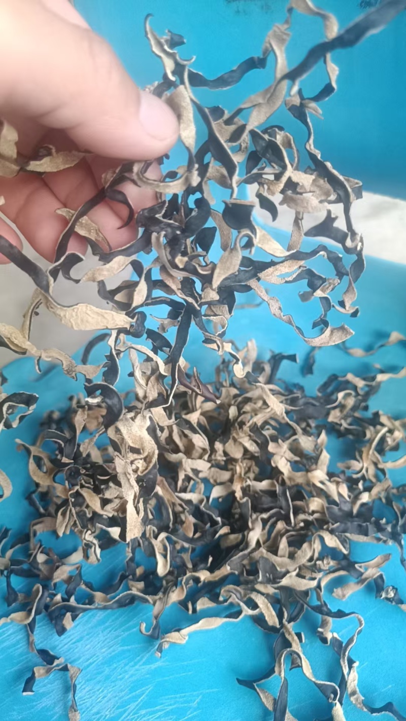 头茬木耳丝电商二茬木耳丝毛木耳丝去根木耳丝价格便宜木耳丝