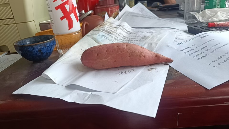 烟薯25，糖心流油，个大稀软，自己家种的，质量很好，来吧