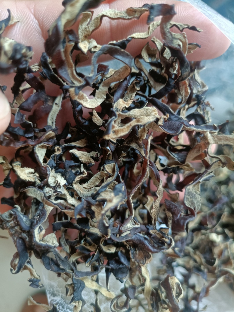 头茬木耳丝电商二茬木耳丝毛木耳丝去根木耳丝价格便宜木耳丝