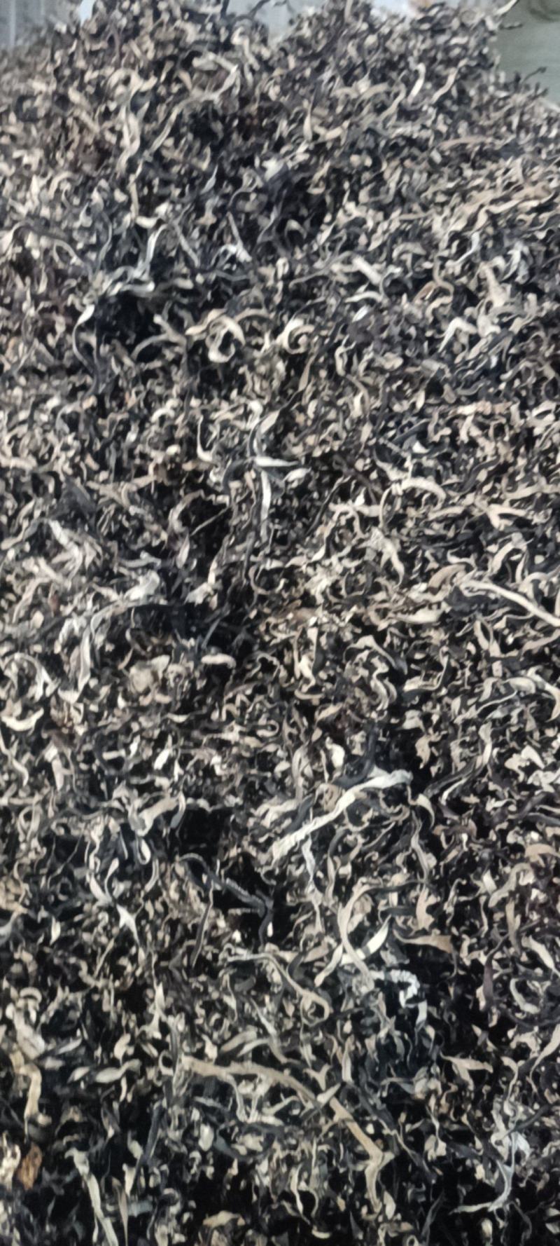 头茬木耳丝电商二茬木耳丝毛木耳丝去根木耳丝价格便宜木耳丝