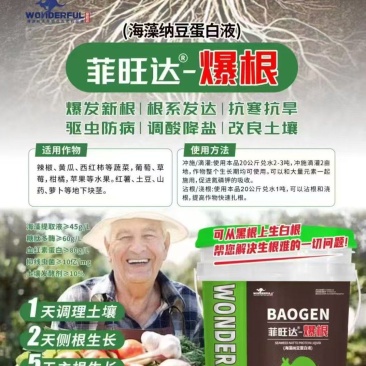菲旺达爆根三天生新根七天大爆根爆发式生根