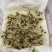 四季种植翠菊大花四季播种易活花卉耐寒耐旱耐贫瘠