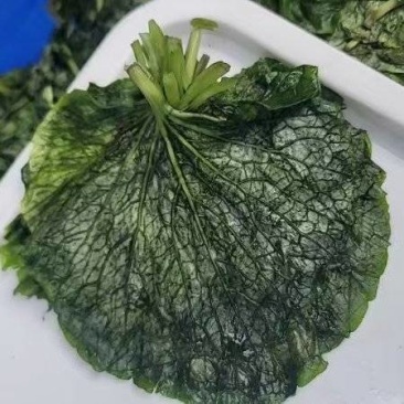 腌渍山葵叶片