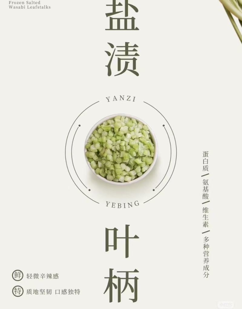 腌渍山葵叶片