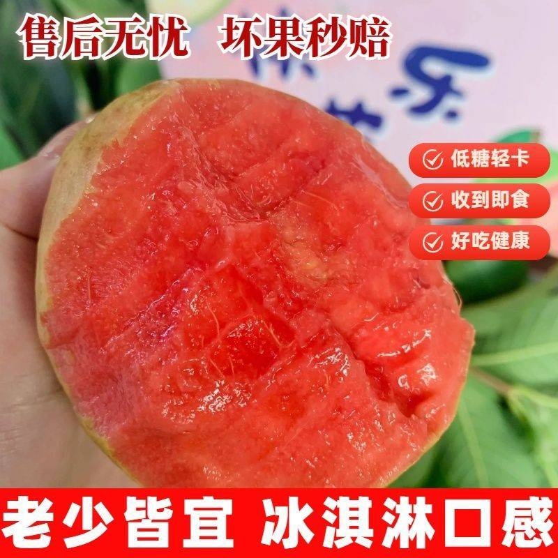 红心番石榴芭乐大量上市产地直销货源保障一件代发