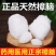 章脑1公斤新货纯樟脑块中药材药用医用外用泡酒正品天然樟脑