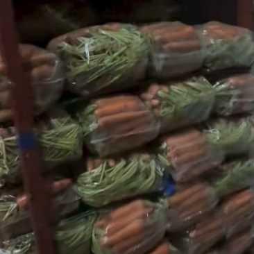 半苗大量上市，产地直发，品质保证，服务周到，诚信经营