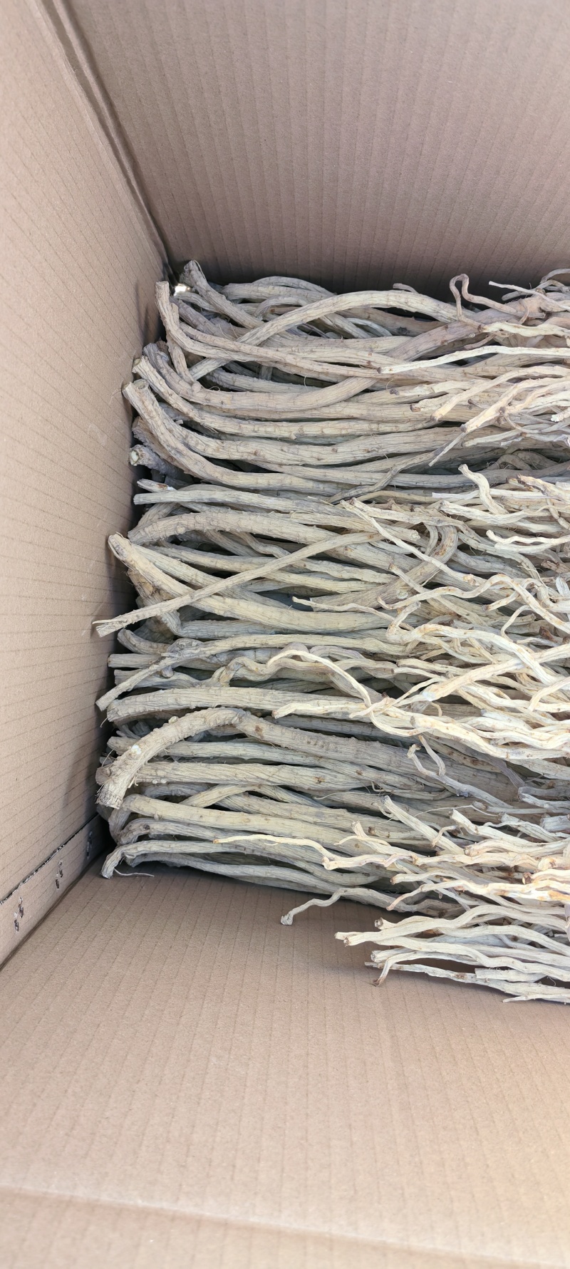 去头精品防风