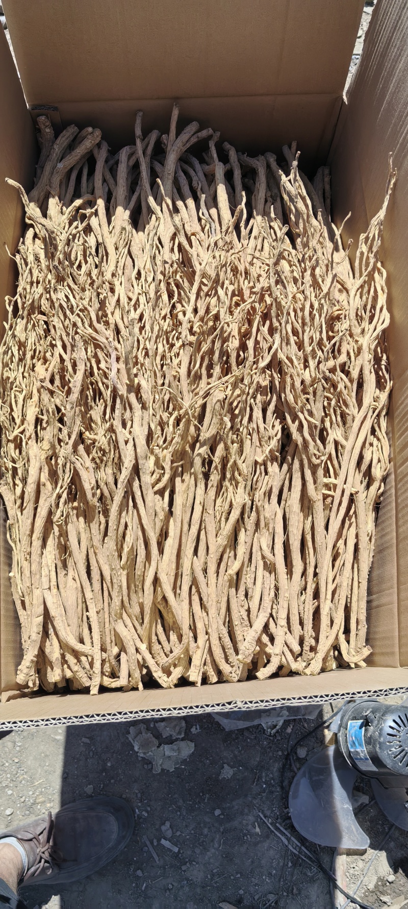 去头精品防风