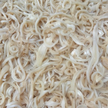 羊皮丝