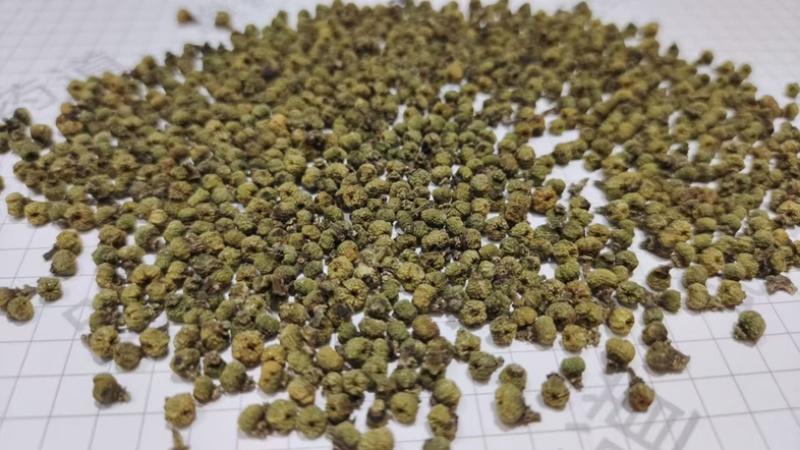 吴茱萸江西正宗吴茱萸中花无硫正宗野生中药材批发