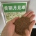 美丽月见草种子花期长好养活抗病性强懒人花卉