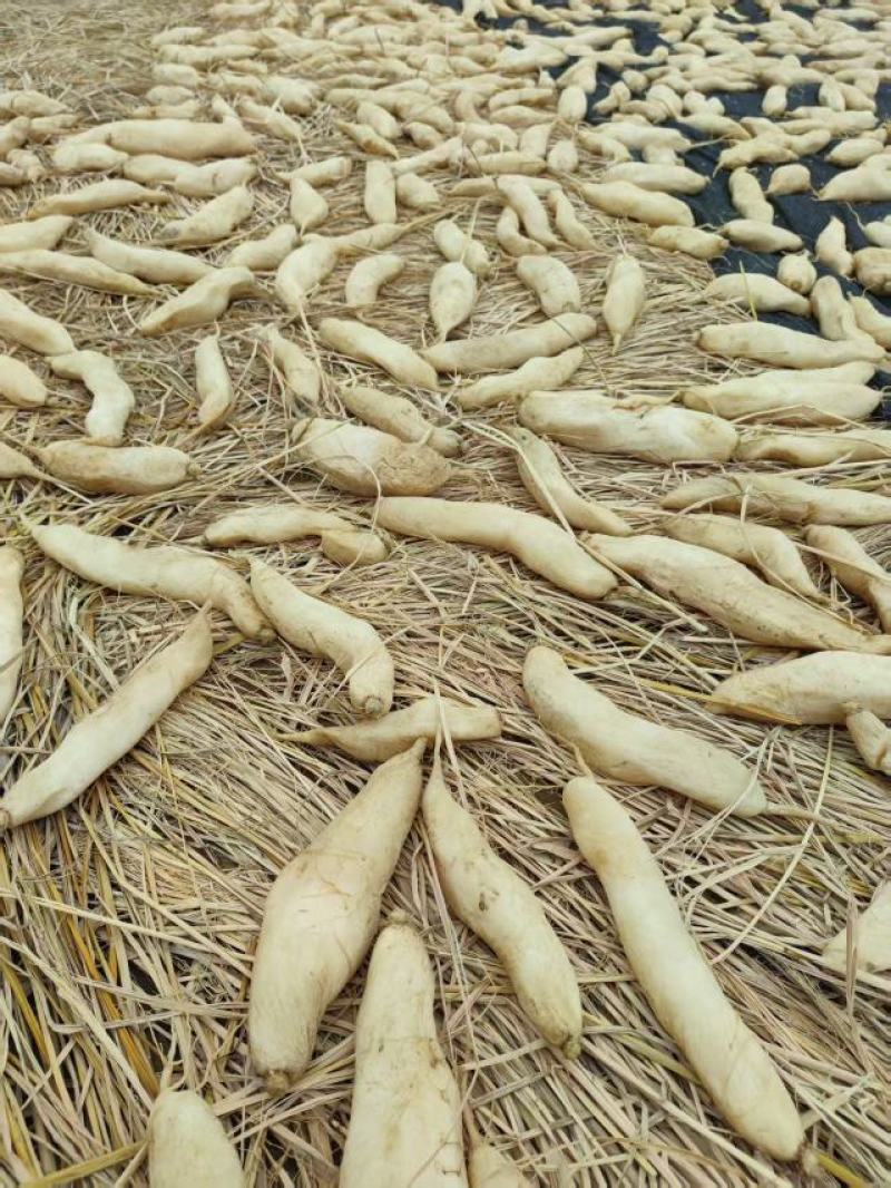 传统手干日晒菜脯萝卜干潮汕特产